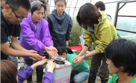 AM10:30 畑の作業