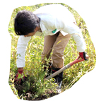 エコビレッジライフ体験塾参加者