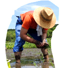 エコビレッジライフ体験塾参加者