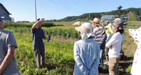 通年プログラム